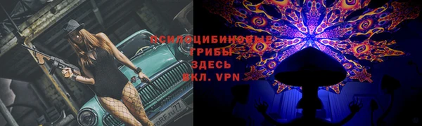 ГАЛЛЮЦИНОГЕННЫЕ ГРИБЫ Каменск-Шахтинский