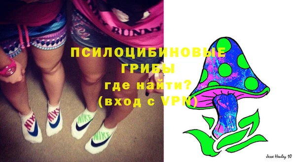 метадон Каменногорск