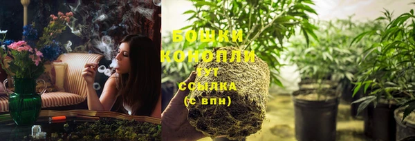 спиды Каменка