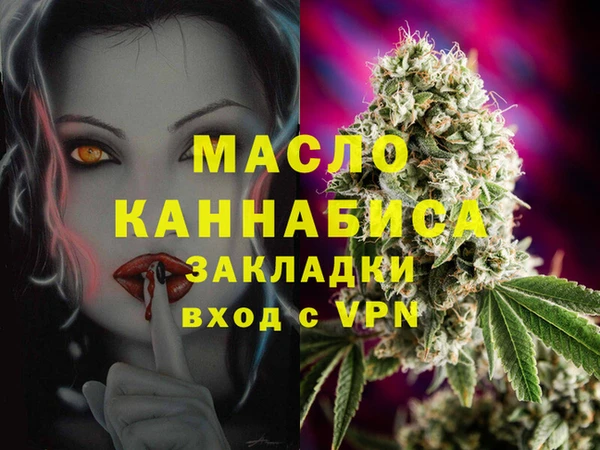 спиды Каменка