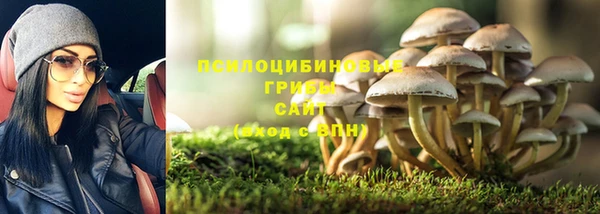спиды Каменка