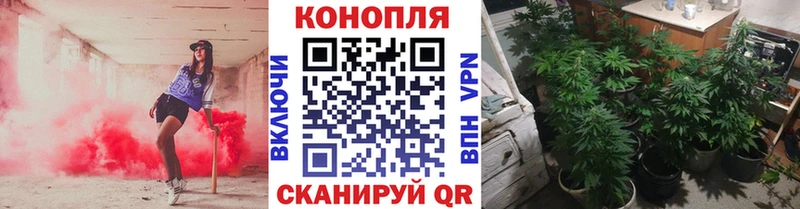 Канабис тримм  это состав  Пушкино  где можно купить  